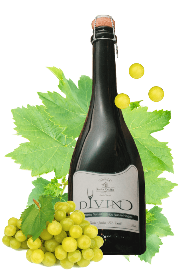 Espumante Divino