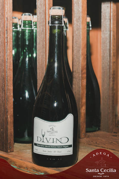 Divino