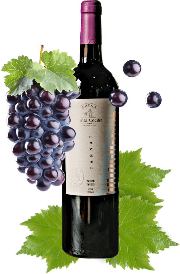 Vinho Tannat